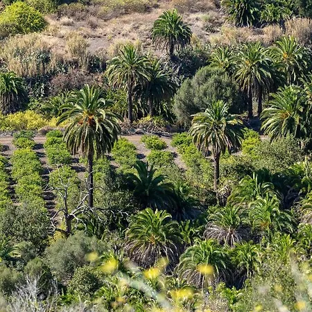 Seaview Duna Golf Holiday home Playa del Ingles (Gran Canaria)